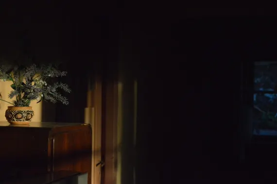 Trada Casino Support